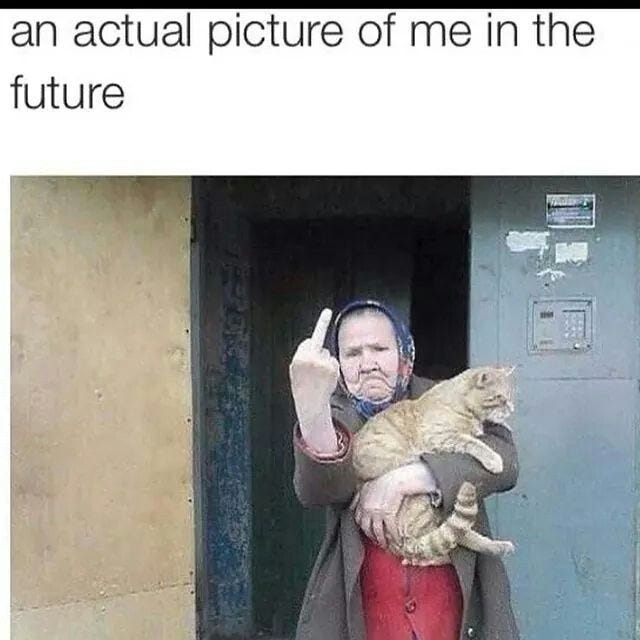 Photo of an older woman in a head kerchief holding a large ginger tabby and giving the camera the middle finger with a scowl. Text over the image says “an actual picture of me in the future”