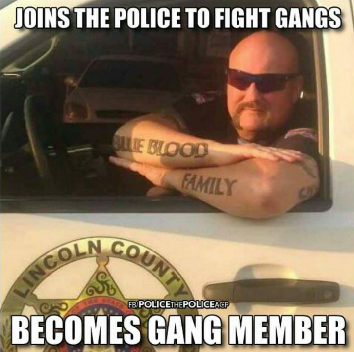 STAY SAFE: A Guide to Personal Security When Up Against a Violent Gang (like the police)