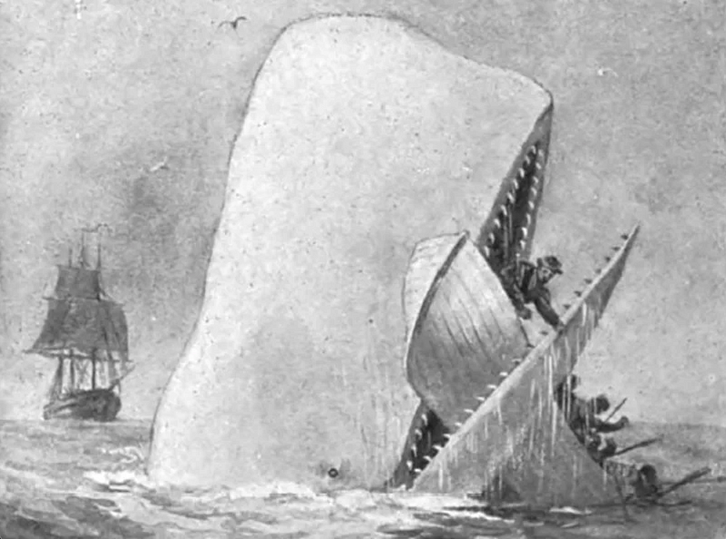 Ambergris and Apathy: When Whales Speak Out to an Empty Sea